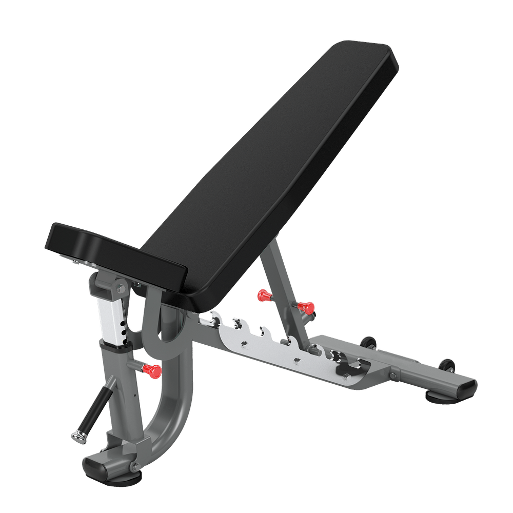 Insight- DR034 Adjustable Bench