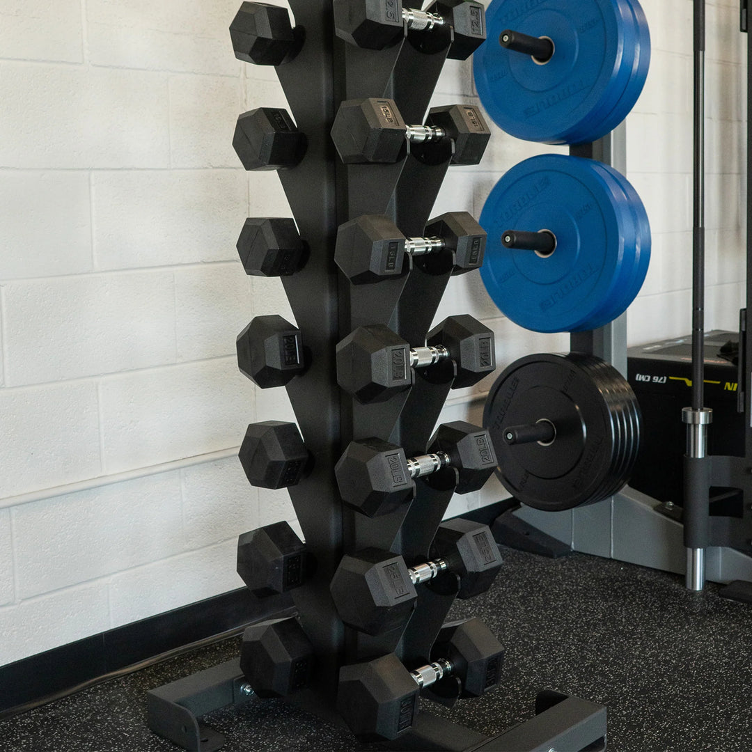 Torque- 10 Pair Vertical Dumbbell Rack