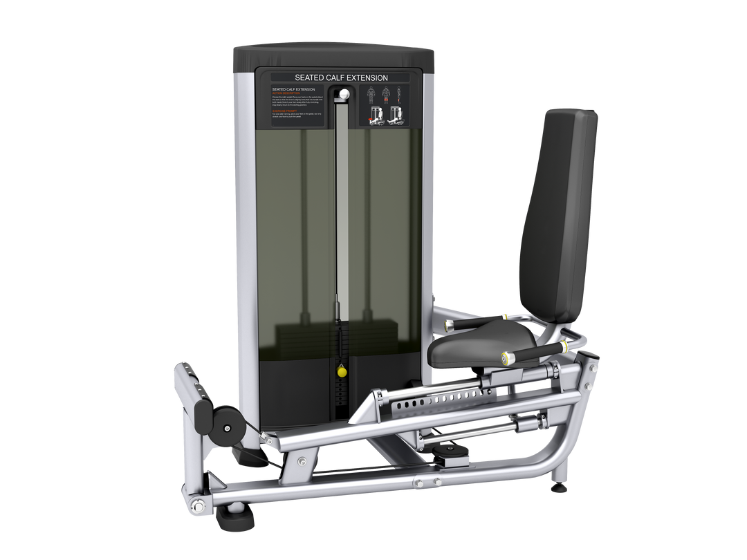 FS93- Seated Calf