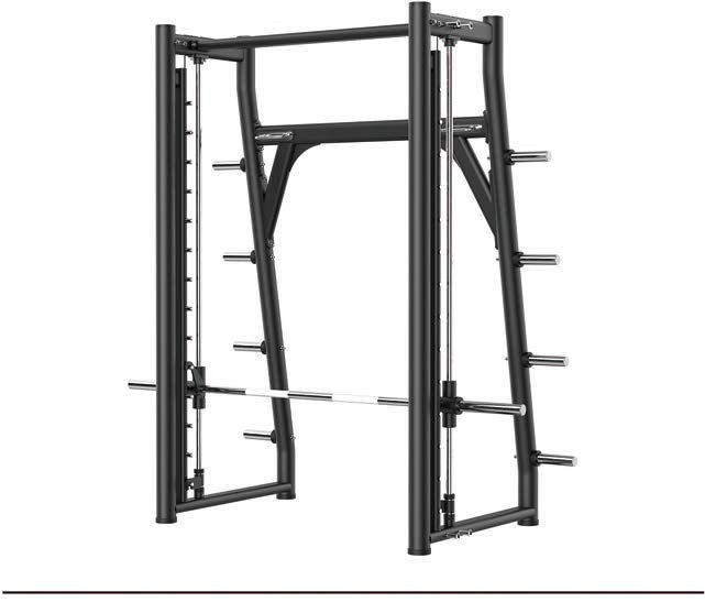 Insight- RE6001 Smith Machine