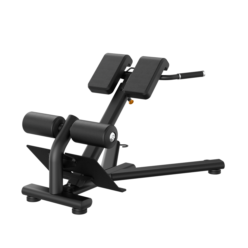 Protato Insight- RE6010 Roman Chair – Protato Health
